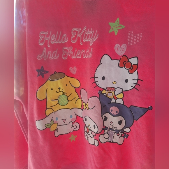 NWT Sanrio Hello Kitty & Friends Pink Sweatshirt Size XL - Picture 2 of 6